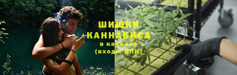 купить   Азнакаево  Бошки Шишки THC 21% 